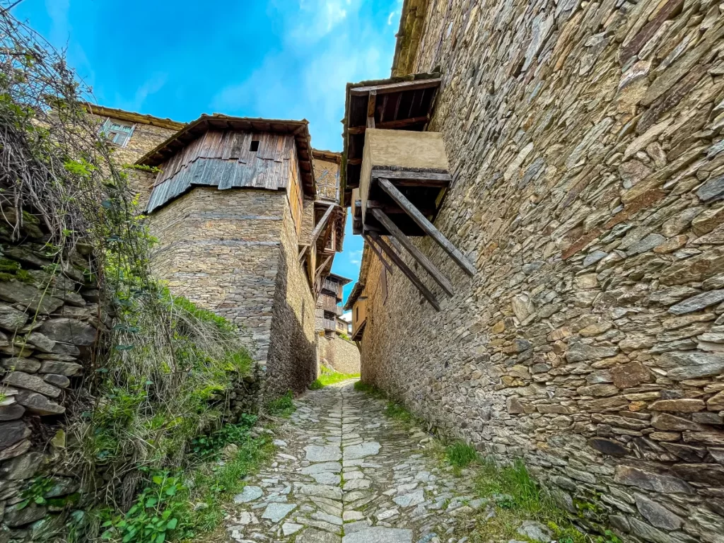 Ковачевица и Лещен